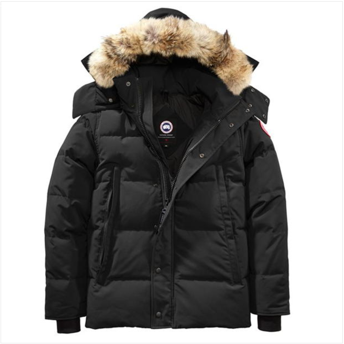 YK x CG Jacket